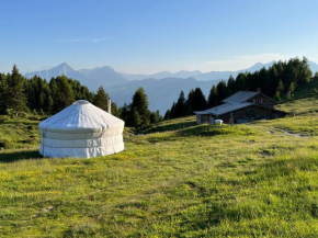 Alp Jurte Skihütte Feldis